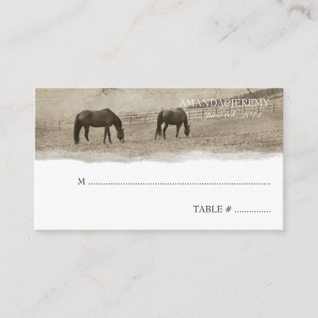 Cartes de siège de ferme Rustique Horse (Devant)