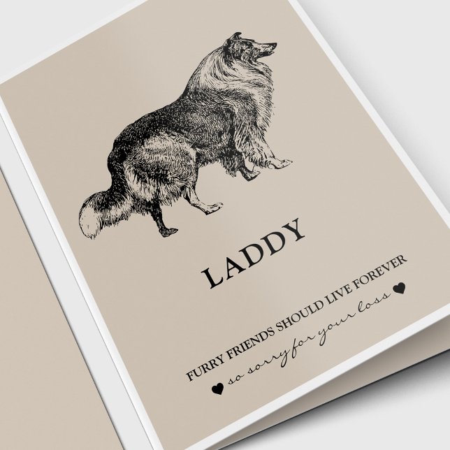 Cartes de Sympathie pour animaux | Meilleur ami Co (Pet Loss, Pet Memorial sympathy card for a Collie dog. Dog lover.)