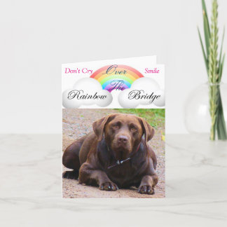 Cartes de Sympathie pour le chien j/ récupérateurs