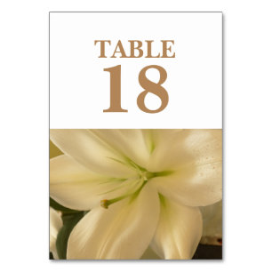 Cartes de table de Mariage Floral blanc