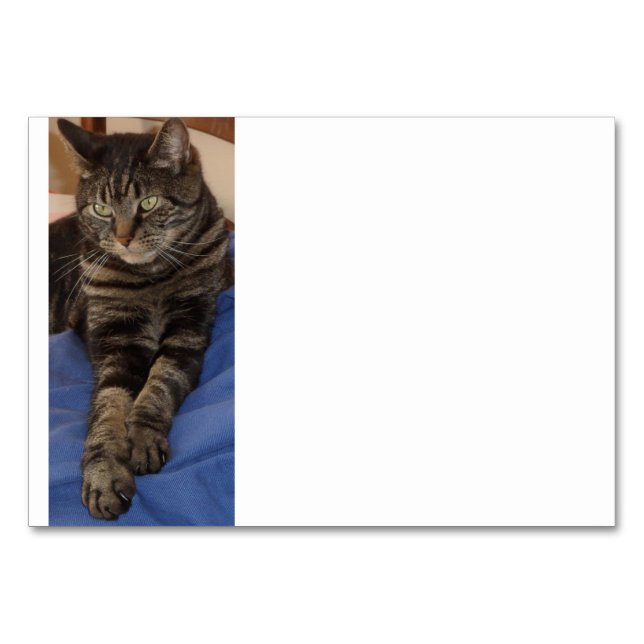 Cartes de table Regal Dave (Devant)