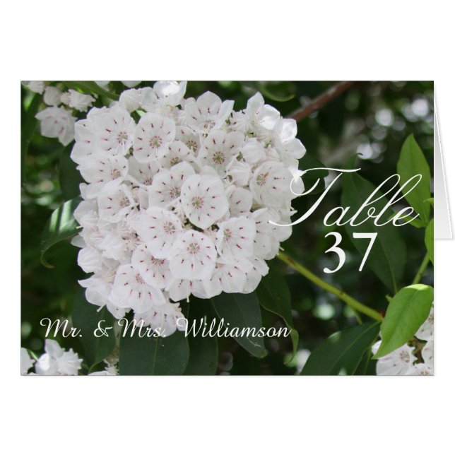 Cartes de tente Mariage White Mountain Laurel (Devant Horizontal)