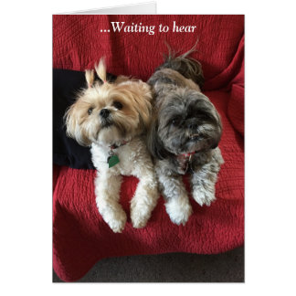 Cartes de tous les jours/ Grace & Gloire