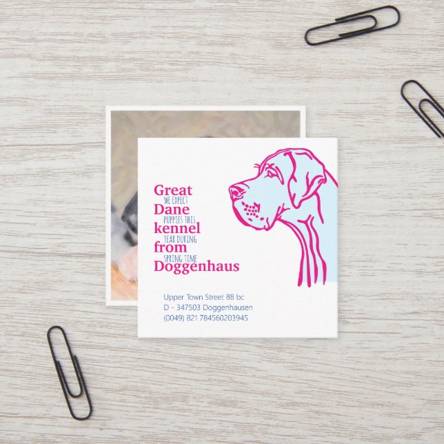 Cartes de vente de chiots Dogue Allemand (Devant/Arrière en situation)