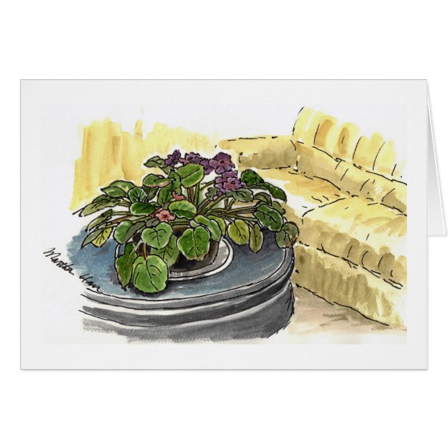 Cartes de violettes africaines (Devant horizontal)