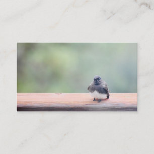 cartes de visite