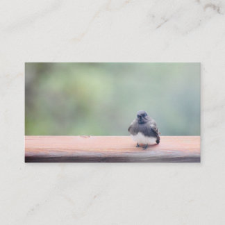 cartes de visite