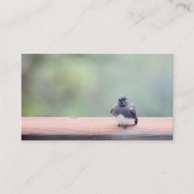 cartes de visite (Devant)