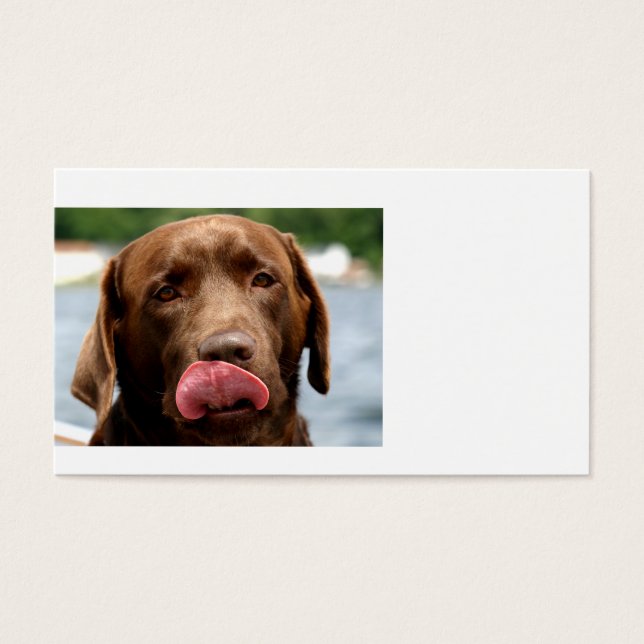 Cartes De Visite 2 Chocolat_Lab.png (Devant)