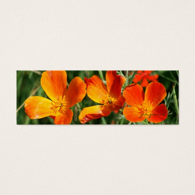 Cartes De Visite 3 soeurs signet (Devant)