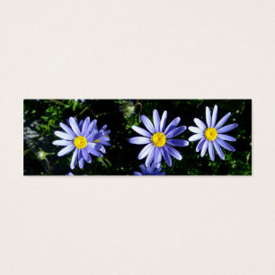 Cartes De Visite 3 soleils bleus