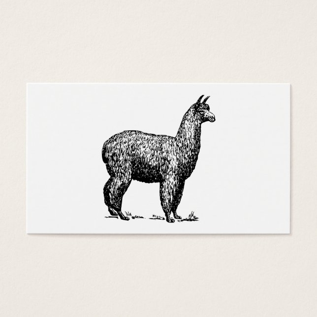 Cartes De Visite Alpaca (Devant)