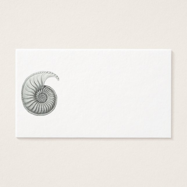 Cartes De Visite Ammonite (Devant)