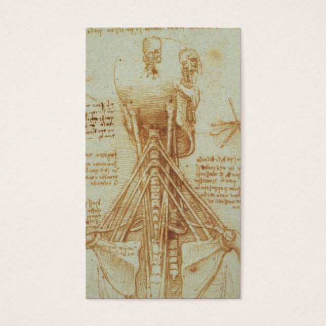 Cartes De Visite Anatomie du cou par Léonard de Vinci c. 1515 (Devant)