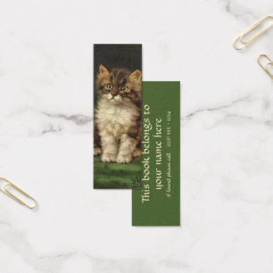 Cartes De Visite Animaux de compagnie vintages, Cute Striped Tabby 