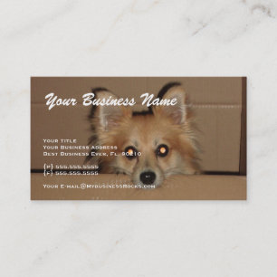 Cartes de visite animaux professionnels de