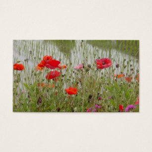 Cartes De Visite anotherangle