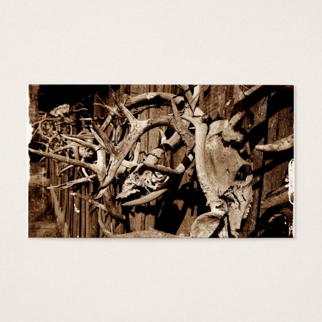 Cartes De Visite Antlers de cerfs (Devant)