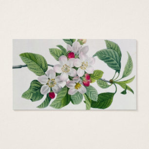 Cartes De Visite Apple fleurissent, du 'DES de Les Choix plus des