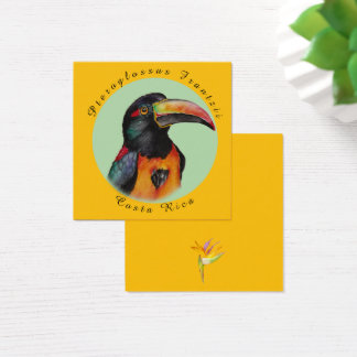 Cartes De Visite Aquarelle toucan