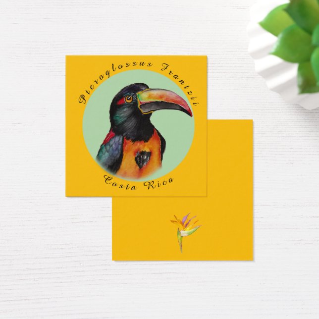 Cartes De Visite Aquarelle toucan (Bureau)