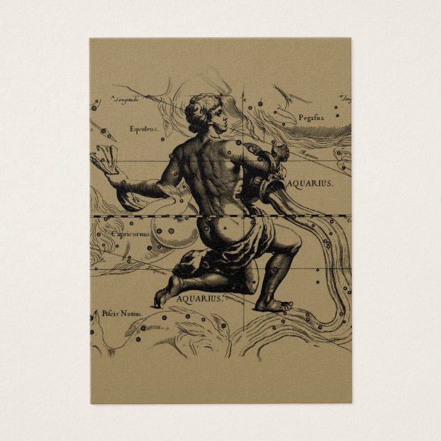 Cartes De Visite Aquarius Constellation Map Hevelius 1690 on Taupe (Devant)