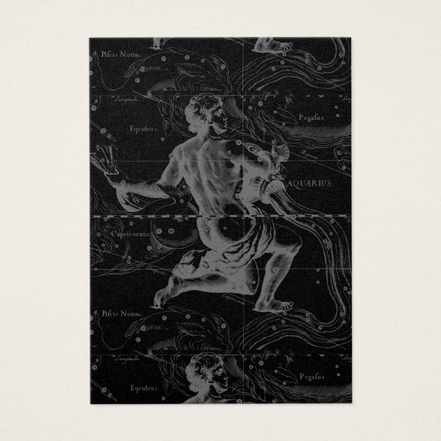Cartes De Visite Aquarius Zodiac Constellation Hevelius 1690 (Devant)