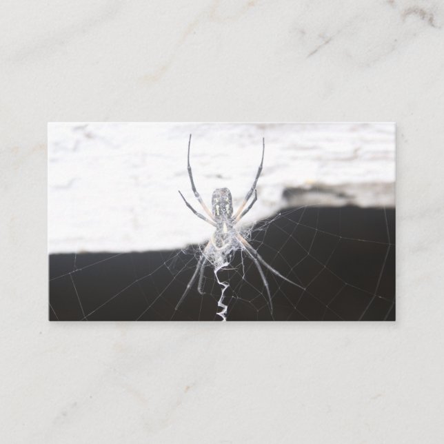 Cartes de visite araignée (Devant)