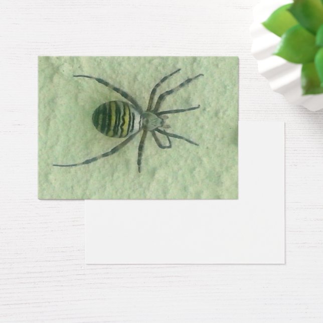 Cartes De Visite Araignee spider (Bureau)