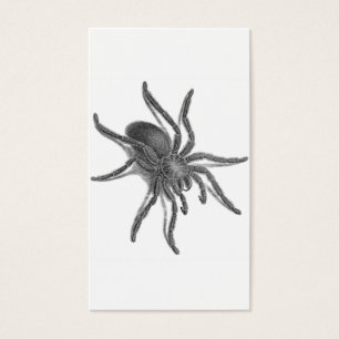 Cartes De Visite Aranea Avicularia, araignée cubaine noire