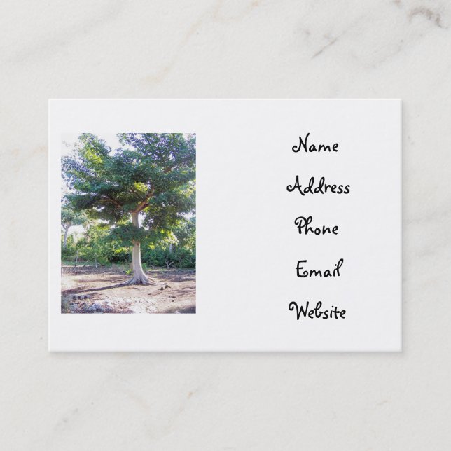 Cartes de visite Arbre de la Sagesse (Devant)