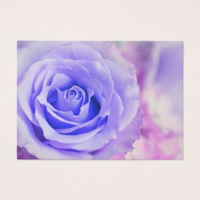 Cartes De Visite Arrière - plan Rose violet Customisé Modèle (Devant)