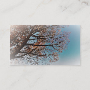 CARTES DE VISITE ART ET DESIGN