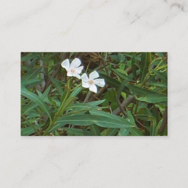 CARTES DE VISITE ART ET DESIGN (Devant)