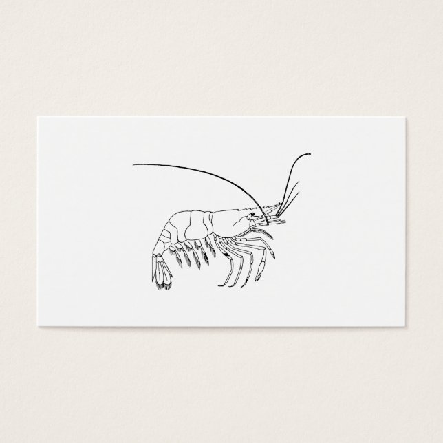 Cartes De Visite Art Prawn (Devant)