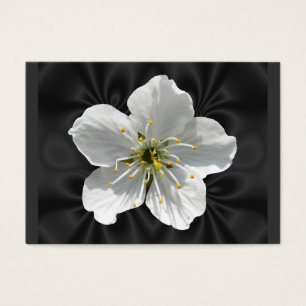 Cartes De Visite ATC de ~ de fleurs de cerisier