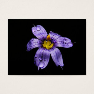Cartes De Visite ATC de ~ d'herbe observé par bleu