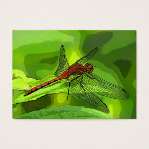 Cartes De Visite ATC de libellule