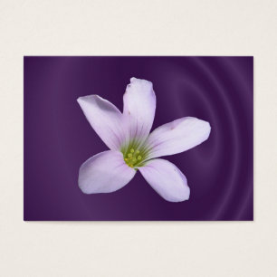 Cartes De Visite ATC pourpre de ~ de shamrock