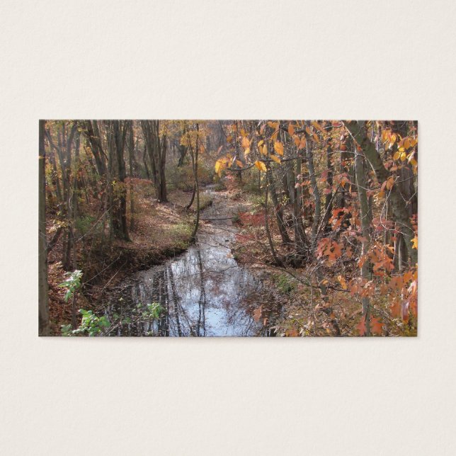 Cartes De Visite Babbling Brook (Devant)