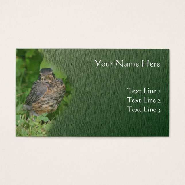 Cartes De Visite Baby Robin Jeune Oiseau Nature animale (Devant)