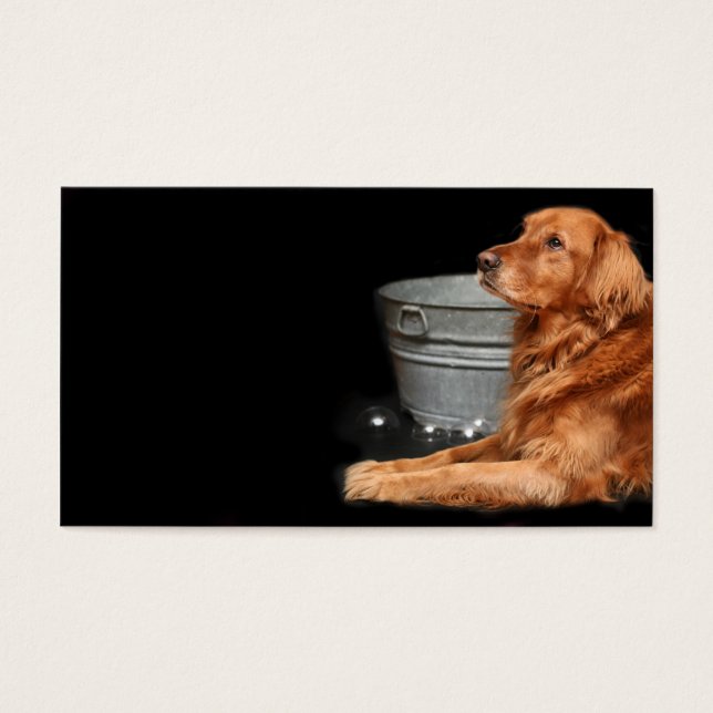 Cartes De Visite Bain de chien (Devant)