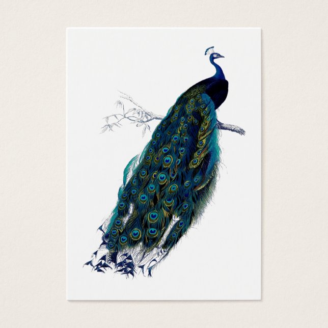 Cartes De Visite Balise cadeau Collection Peacock (Devant)