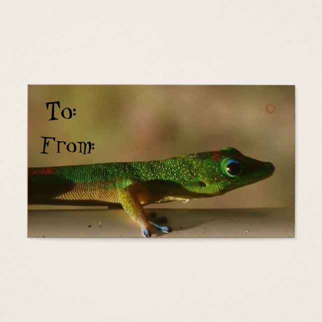 Cartes De Visite Balises cadeaux Gecko (Devant)