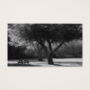 Cartes De Visite Banc de parc et photo d'arbre