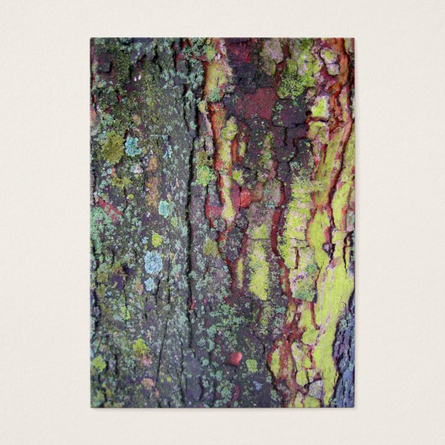 Cartes De Visite Barre d'arbre (Devant)
