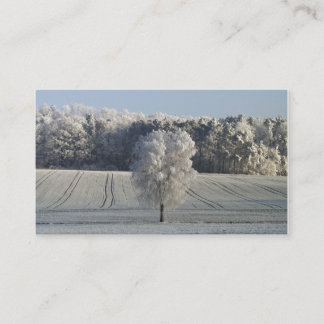 Cartes de visite bavarois de Frost