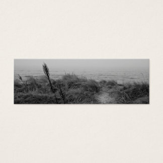 Cartes De Visite Beach path
