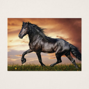 Cartes De Visite Beau Cheval Noir