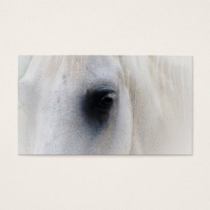 Cartes De Visite Beau plan rapproché de cheval blanc